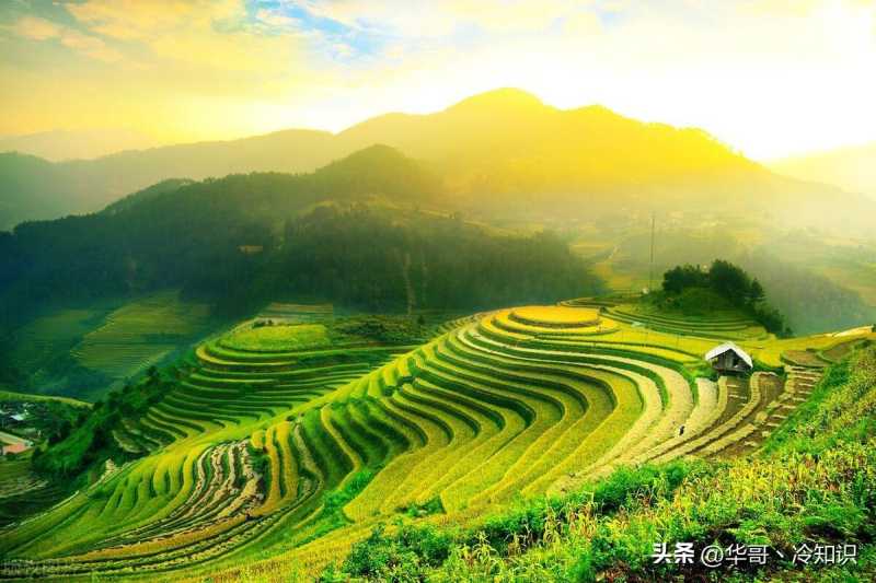 地域的冷知识：意想不到的事实与奇闻