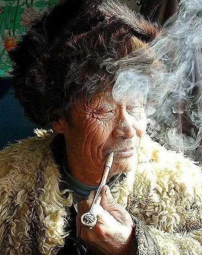 奇闻：猎人下套，狼“赶围”，人狼均分猎物，这事发生在长白山