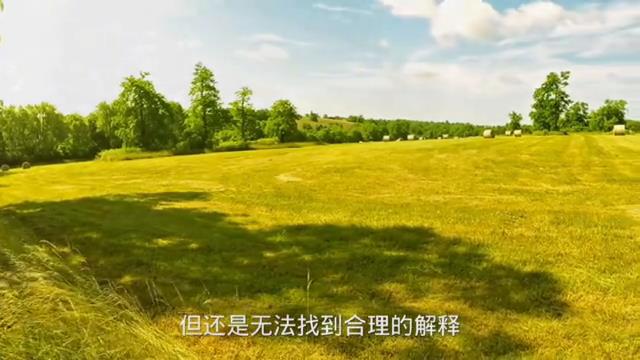英国的一个小镇上发生了一起令人匪夷所思奇闻异事