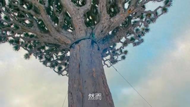 英国的一个小镇上发生了一起令人匪夷所思奇闻异事