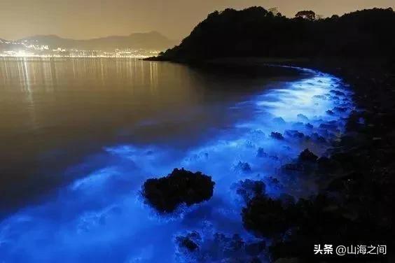 二十八张图片带你了解世界奇闻趣事