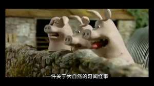 大自然的奇闻怪事#