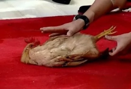 【奇闻异事】湖南湘西惊现神秘巫师（一）