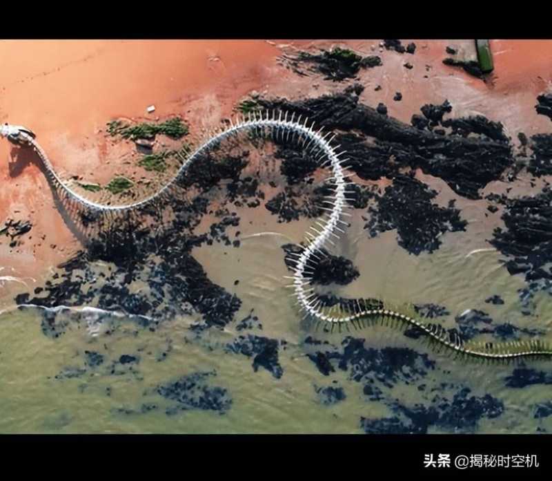二战奇闻：飞行员在空中遭遇15米“巨蟒”？拍下照片为何仍被质疑