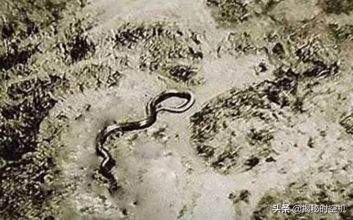 二战奇闻：飞行员在空中遭遇15米“巨蟒”？拍下照片为何仍被质疑
